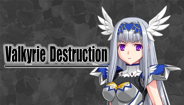 Valkyrie Destruction